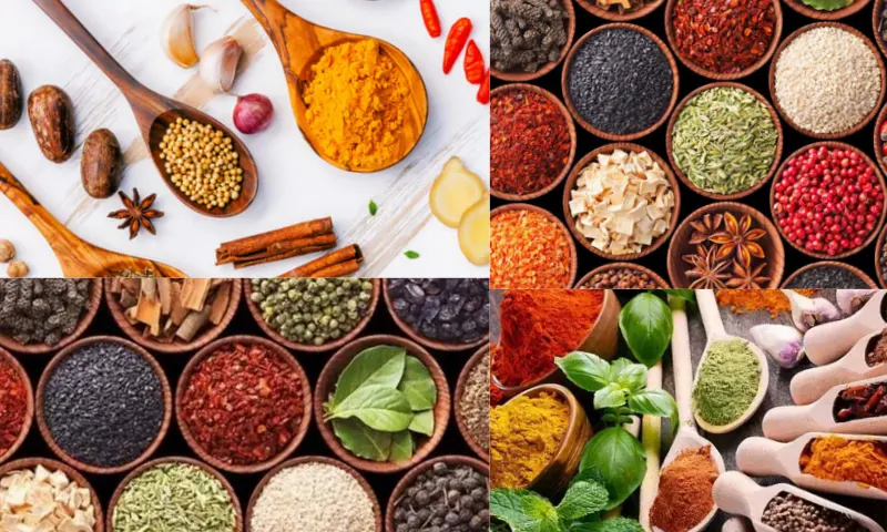 Turkish Spice Dünya Mutfaklarına Nasıl Yansımıştır?