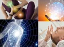 Bioenerji Nedir?