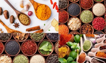 Turkish Spice Dünya Mutfaklarına Nasıl Yansımıştır?
