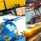 Reliable and Fast Transportation with Qatar Road Transport